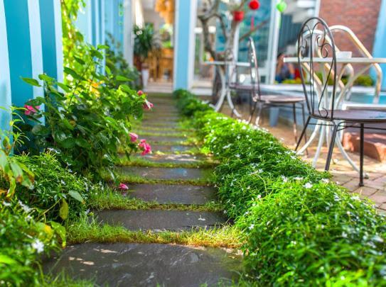 Peach House Bed & Breakfast Hội An Ngoại thất bức ảnh