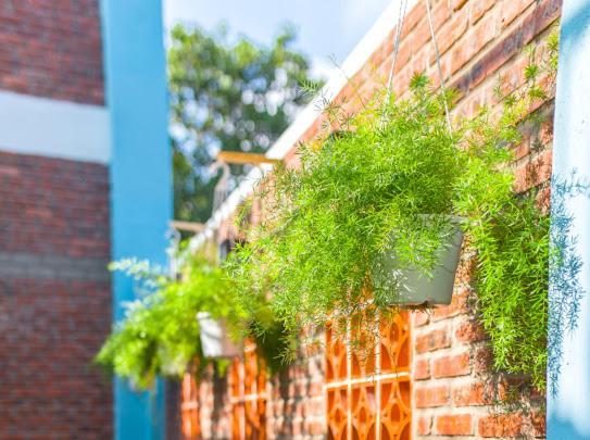 Peach House Bed & Breakfast Hội An Ngoại thất bức ảnh